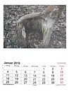 Randentdeckungen in Zehdenick - Fotokalender 2016