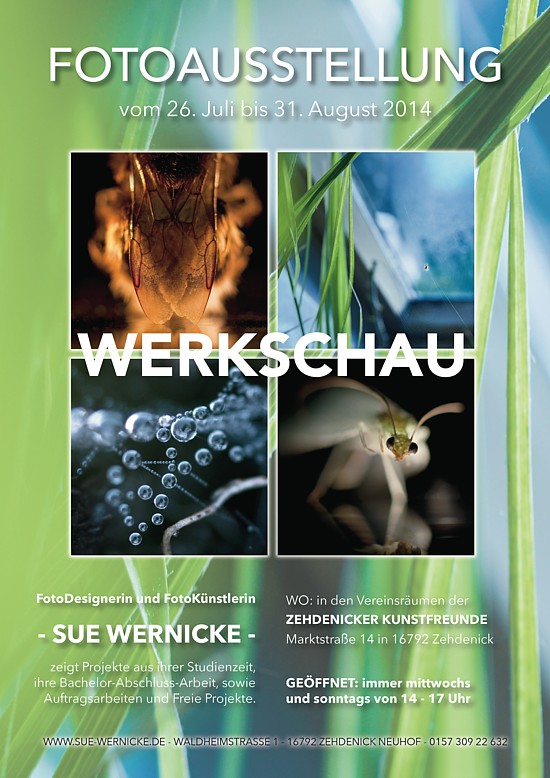 Plakat zur Ausstellung: Werkschau Sue Wernicke